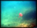 2007-04-28_Mejean